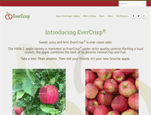 Tablet Screenshot of evercrispapple.com